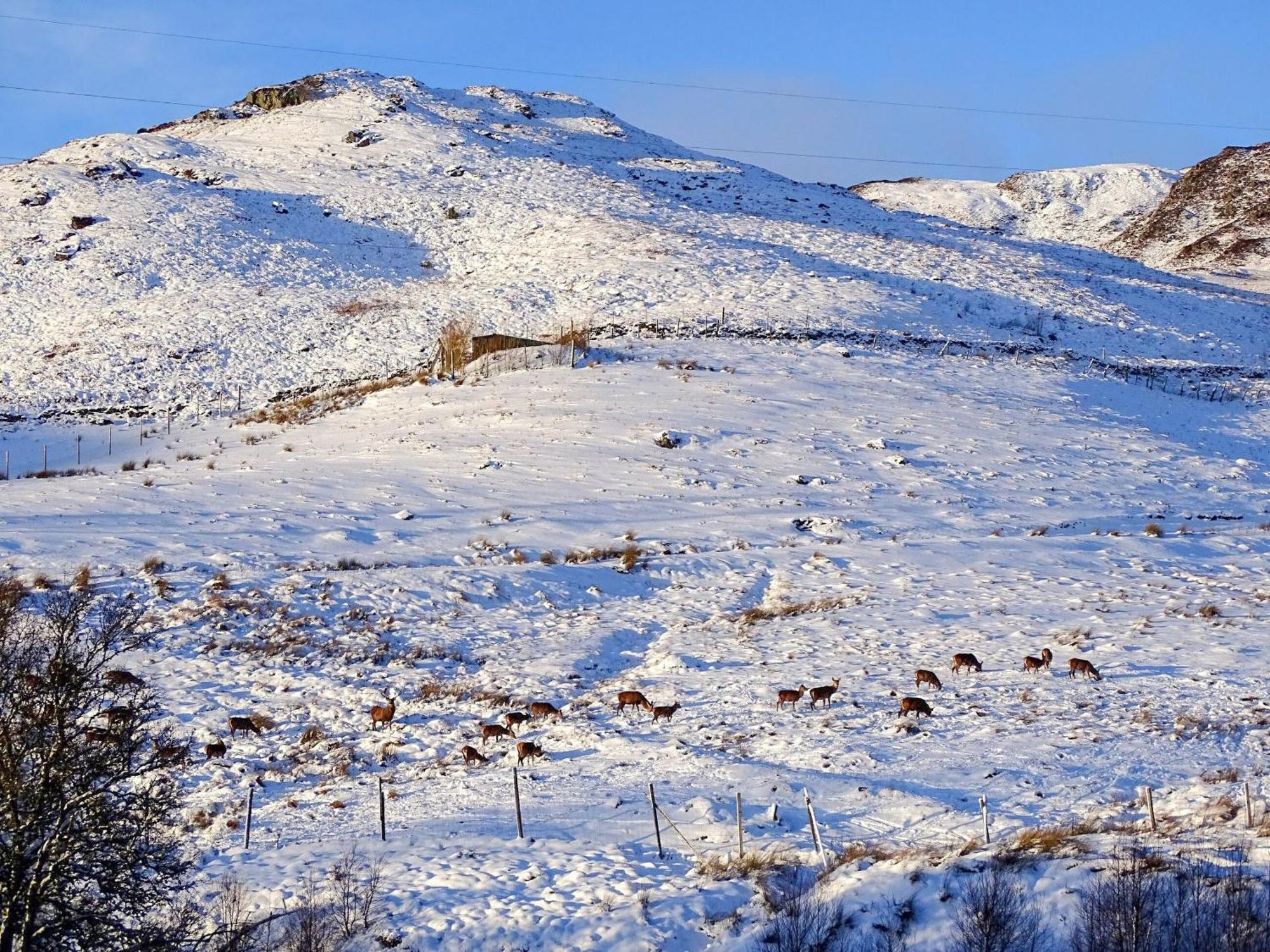 Glengoulandie Lodge Dış mekan fotoğraf